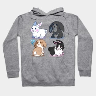 Baby Bunnies Hoodie